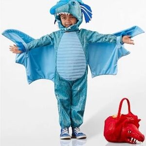 Pottery Barn Kids Sky Blue Dragon Costume